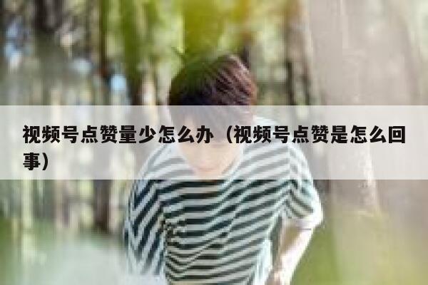 视频号点赞量少怎么办（视频号点赞是怎么回事） 第1张