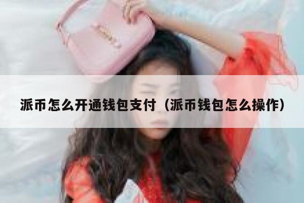 派币怎么开通钱包支付（派币钱包怎么操作） 第1张