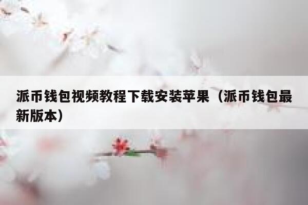 派币钱包视频教程下载安装苹果（派币钱包最新版本） 第1张