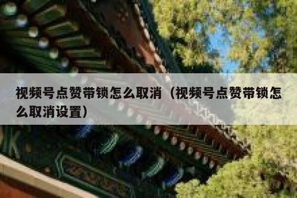 视频号点赞带锁怎么取消(视频号点赞带锁怎么取消设置) 第1张 视频号点赞带锁怎么取消(视频号点赞带锁怎么取消设置) 第1张
