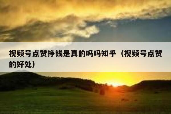 视频号点赞挣钱是真的吗吗知乎（视频号点赞的好处） 第1张