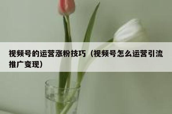 视频号的运营涨粉技巧（视频号怎么运营引流推广变现） 第1张