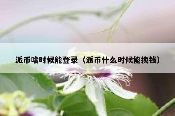派币啥时候能登录（派币什么时候能换钱） 第1张