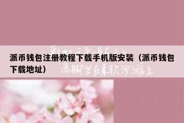 派币钱包注册教程下载手机版安装（派币钱包下载地址） 第1张