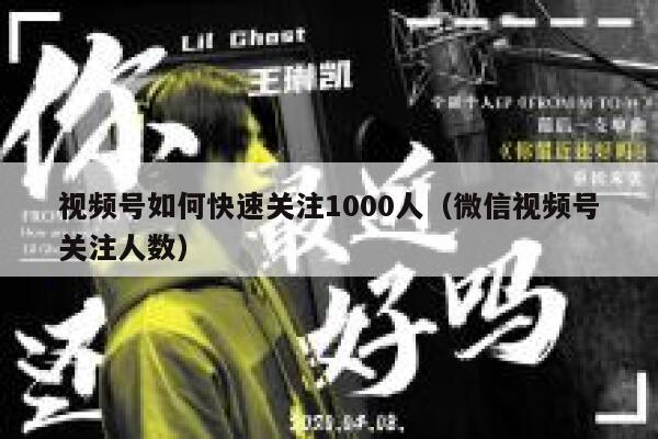 视频号如何快速关注1000人（微信视频号关注人数） 第1张