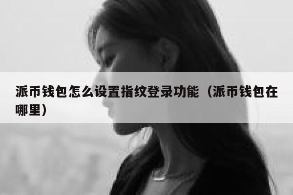 派币钱包怎么设置指纹登录功能（派币钱包在哪里） 第1张
