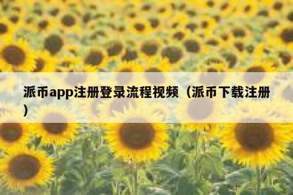 派币app注册登录流程视频（派币下载注册） 第1张