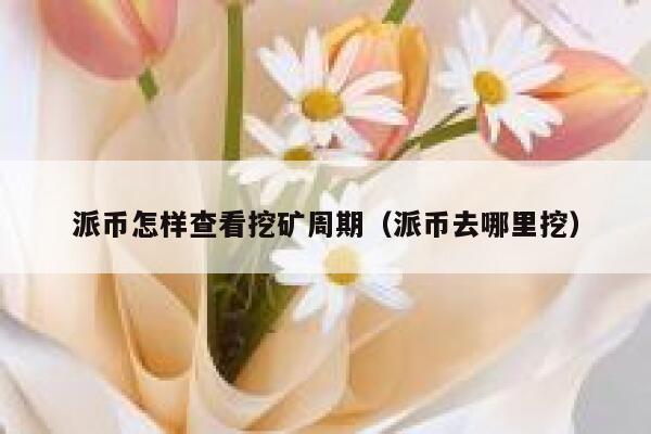 派币怎样查看挖矿周期（派币去哪里挖） 第1张