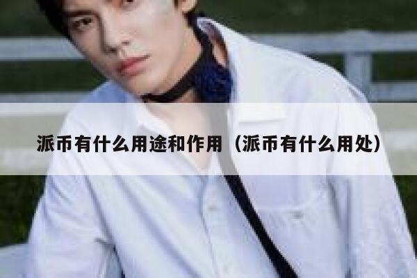 派币有什么用途和作用（派币有什么用处） 第1张