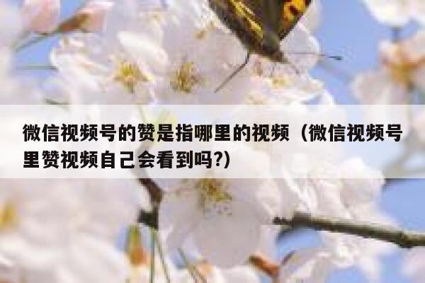 微信视频号的赞是指哪里的视频（微信视频号里赞视频自己会看到吗?） 第1张