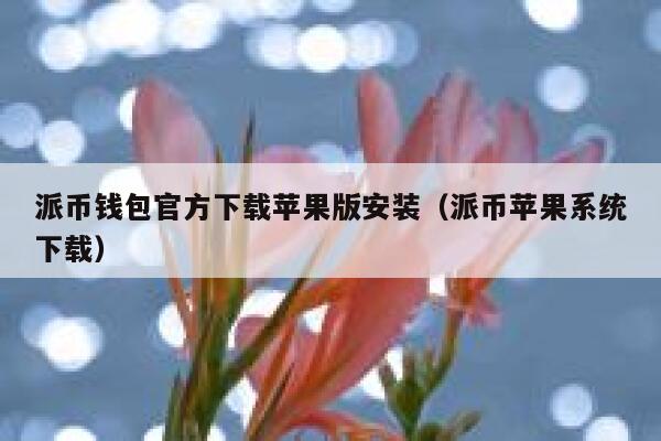 派币钱包官方下载苹果版安装（派币苹果系统下载） 第1张