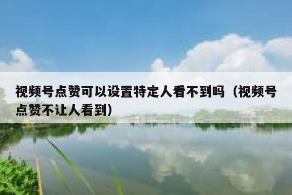 视频号点赞可以设置特定人看不到吗（视频号点赞不让人看到） 第1张