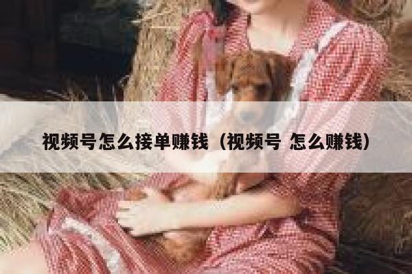视频号怎么接单赚钱（视频号 怎么赚钱） 第1张