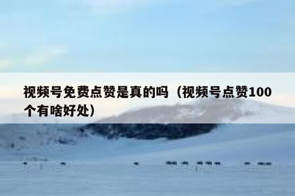 视频号免费点赞是真的吗(视频号点赞100个有啥好处) 第1张 视频号免费点赞是真的吗(视频号点赞100个有啥好处) 第1张