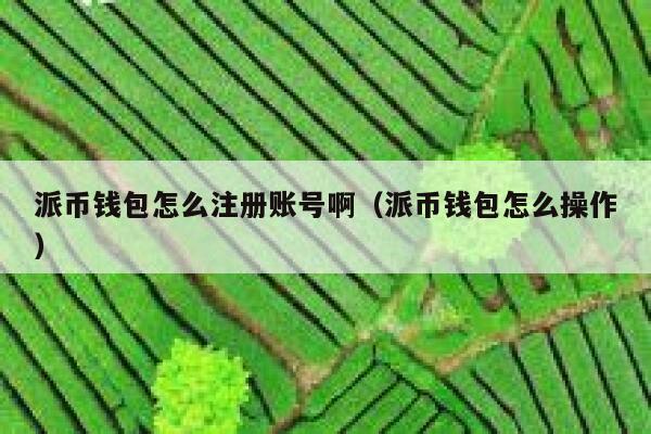 派币钱包怎么注册账号啊（派币钱包怎么操作） 第1张