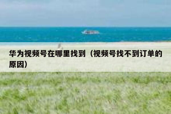 华为视频号在哪里找到(视频号找不到订单的原因) 第1张 华为视频号在哪里找到(视频号找不到订单的原因) 第1张