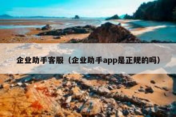 企业助手客服（企业助手app是正规的吗） 第1张