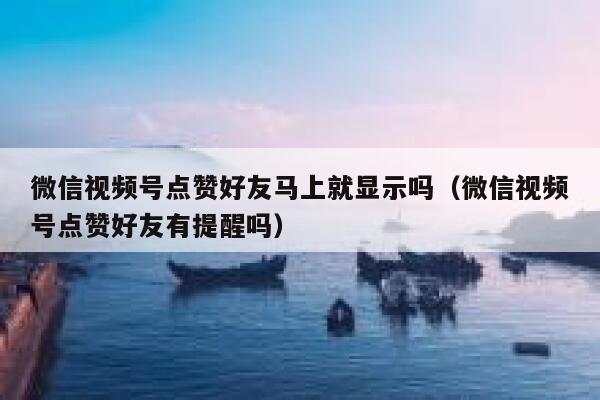 微信视频号点赞好友马上就显示吗(微信视频号点赞好友有提醒吗) 第1张 微信视频号点赞好友马上就显示吗(微信视频号点赞好友有提醒吗) 第1张