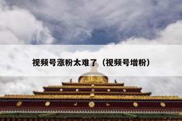 视频号涨粉太难了（视频号增粉） 第1张