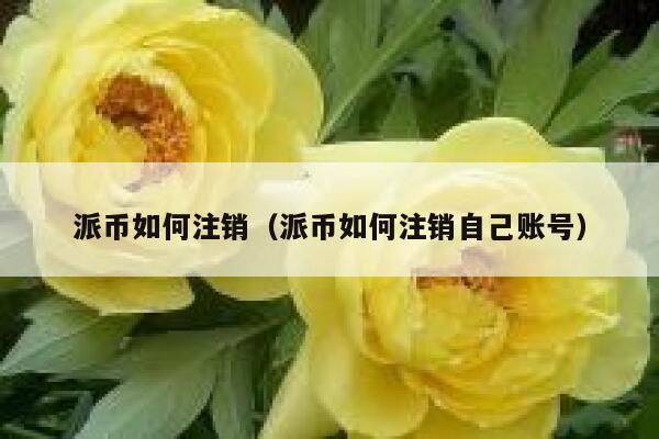 派币如何注销（派币如何注销自己账号） 第1张