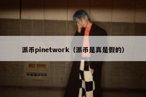 派币pinetwork(派币是真是假的) 第1张 派币pinetwork(派币是真是假的) 第1张