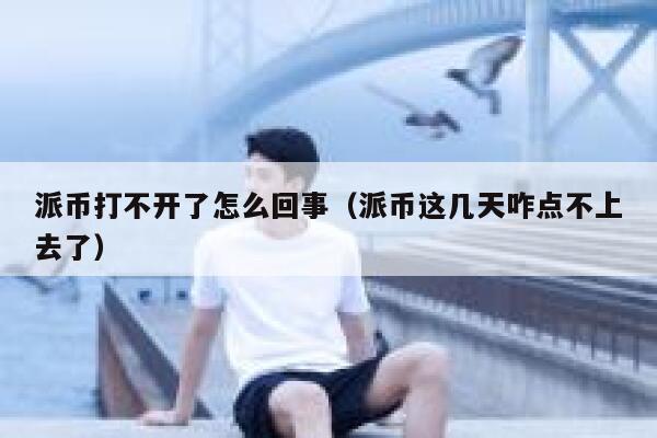 派币打不开了怎么回事(派币这几天咋点不上去了) 第1张 派币打不开了怎么回事(派币这几天咋点不上去了) 第1张