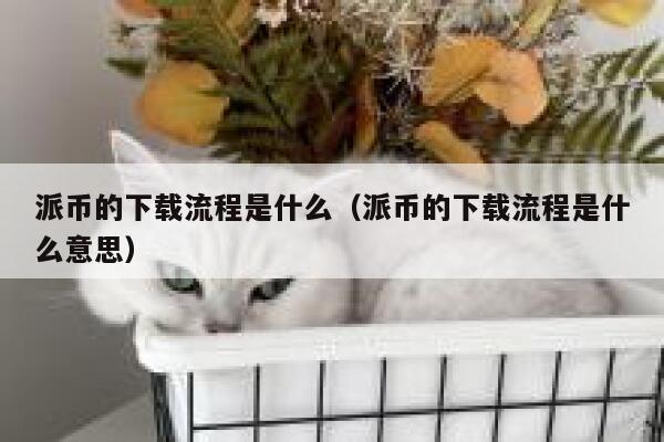 派币的下载流程是什么(派币的下载流程是什么意思) 第1张 派币的下载流程是什么(派币的下载流程是什么意思) 第1张