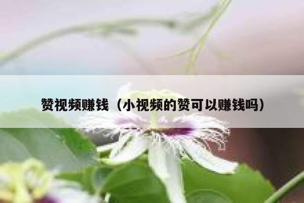 赞视频赚钱(小视频的赞可以赚钱吗) 第1张 赞视频赚钱(小视频的赞可以赚钱吗) 第1张