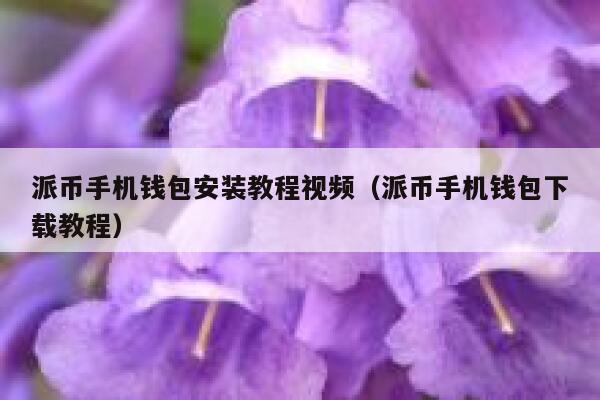 派币手机钱包安装教程视频(派币手机钱包下载教程) 第1张 派币手机钱包安装教程视频(派币手机钱包下载教程) 第1张