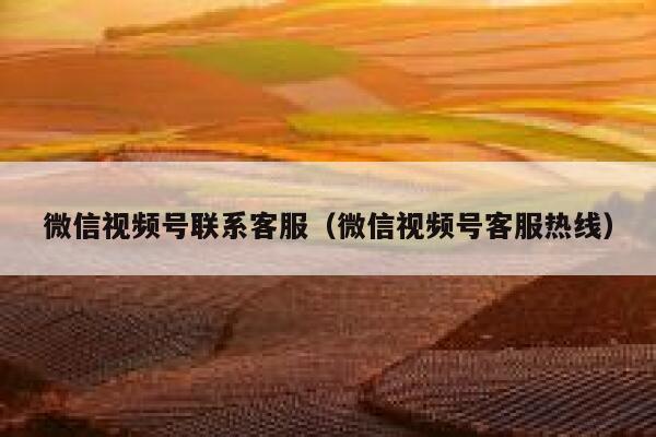 微信视频号联系客服(微信视频号客服热线) 第1张 微信视频号联系客服(微信视频号客服热线) 第1张