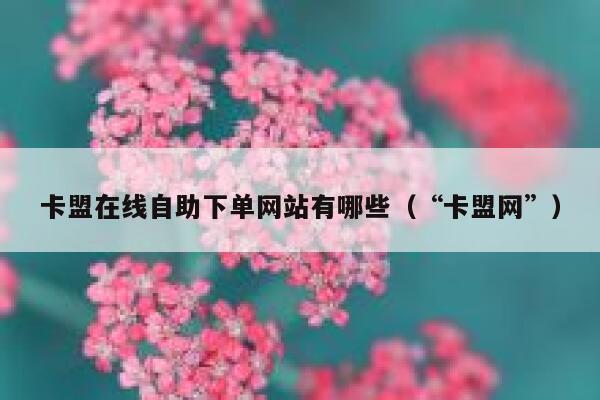 卡盟在线自助下单网站有哪些(“卡盟网”) 第1张 卡盟在线自助下单网站有哪些(“卡盟网”) 第1张