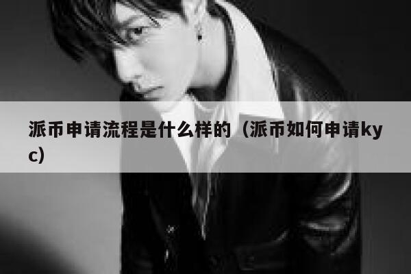 派币申请流程是什么样的（派币如何申请kyc） 第1张