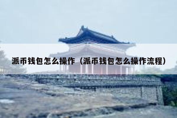 派币钱包怎么操作(派币钱包怎么操作流程) 第1张 派币钱包怎么操作(派币钱包怎么操作流程) 第1张