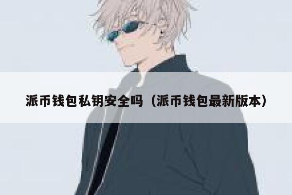 派币钱包私钥安全吗（派币钱包最新版本） 第1张