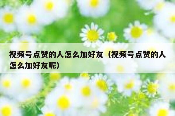 视频号点赞的人怎么加好友（视频号点赞的人怎么加好友呢） 第1张