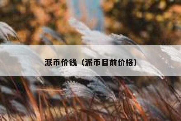 派币价钱(派币目前价格) 第1张 派币价钱(派币目前价格) 第1张