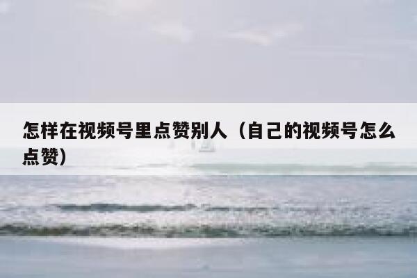 怎样在视频号里点赞别人(自己的视频号怎么点赞) 第1张 怎样在视频号里点赞别人(自己的视频号怎么点赞) 第1张
