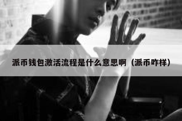 派币钱包激活流程是什么意思啊(派币咋样) 第1张 派币钱包激活流程是什么意思啊(派币咋样) 第1张