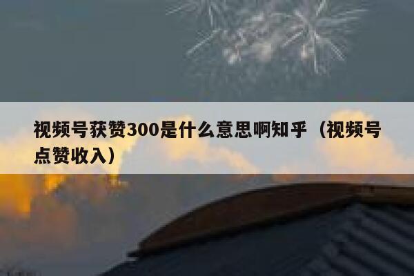 视频号获赞300是什么意思啊知乎（视频号点赞收入） 第1张