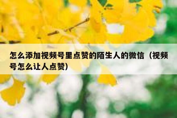 怎么添加视频号里点赞的陌生人的微信(视频号怎么让人点赞) 第1张 怎么添加视频号里点赞的陌生人的微信(视频号怎么让人点赞) 第1张