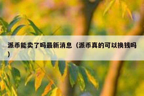 派币能卖了吗最新消息(派币真的可以换钱吗) 第1张 派币能卖了吗最新消息(派币真的可以换钱吗) 第1张