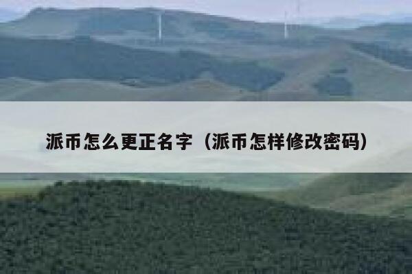 派币怎么更正名字（派币怎样修改密码） 第1张