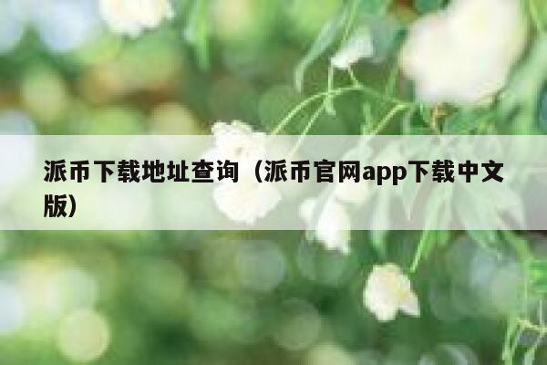 派币下载地址查询(派币官网app下载中文版) 第1张 派币下载地址查询(派币官网app下载中文版) 第1张