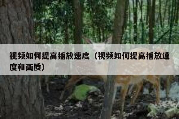 视频如何提高播放速度(视频如何提高播放速度和画质) 第1张 视频如何提高播放速度(视频如何提高播放速度和画质) 第1张