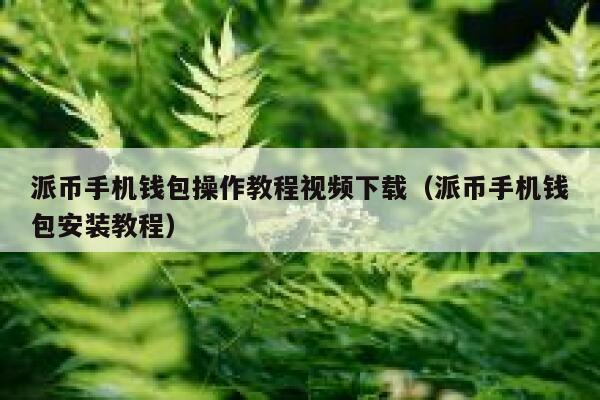 派币手机钱包操作教程视频下载(派币手机钱包安装教程) 第1张 派币手机钱包操作教程视频下载(派币手机钱包安装教程) 第1张