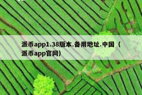 派币app1.38版本.备用地址.中国(派币app官网) 第1张 派币app1.38版本.备用地址.中国(派币app官网) 第1张
