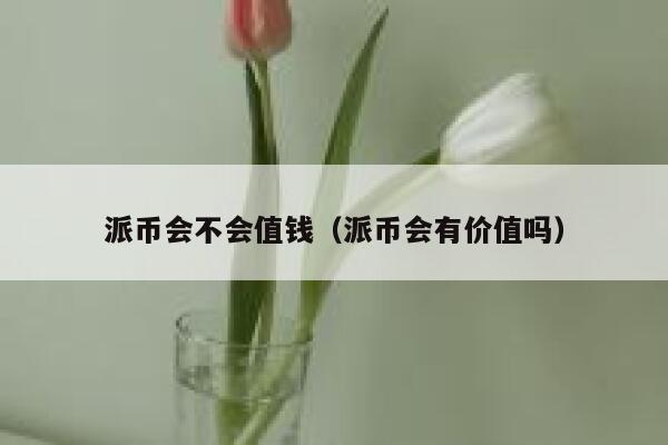 派币会不会值钱(派币会有价值吗) 第1张 派币会不会值钱(派币会有价值吗) 第1张