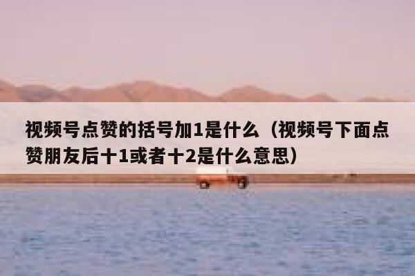 视频号点赞的括号加1是什么(视频号下面点赞朋友后十1或者十2是什么意思) 第1张 视频号点赞的括号加1是什么(视频号下面点赞朋友后十1或者十2是什么意思) 第1张