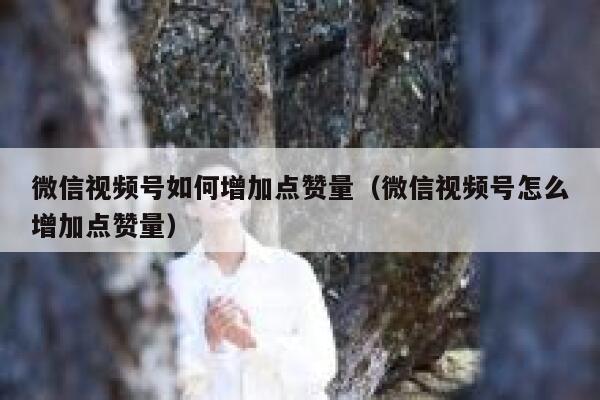 微信视频号如何增加点赞量(微信视频号怎么增加点赞量) 第1张 微信视频号如何增加点赞量(微信视频号怎么增加点赞量) 第1张