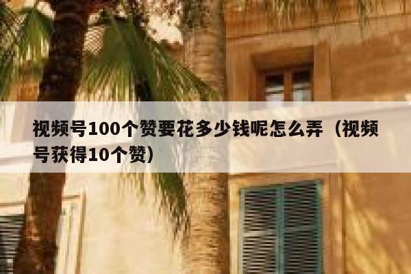 视频号100个赞要花多少钱呢怎么弄（视频号获得10个赞） 第1张